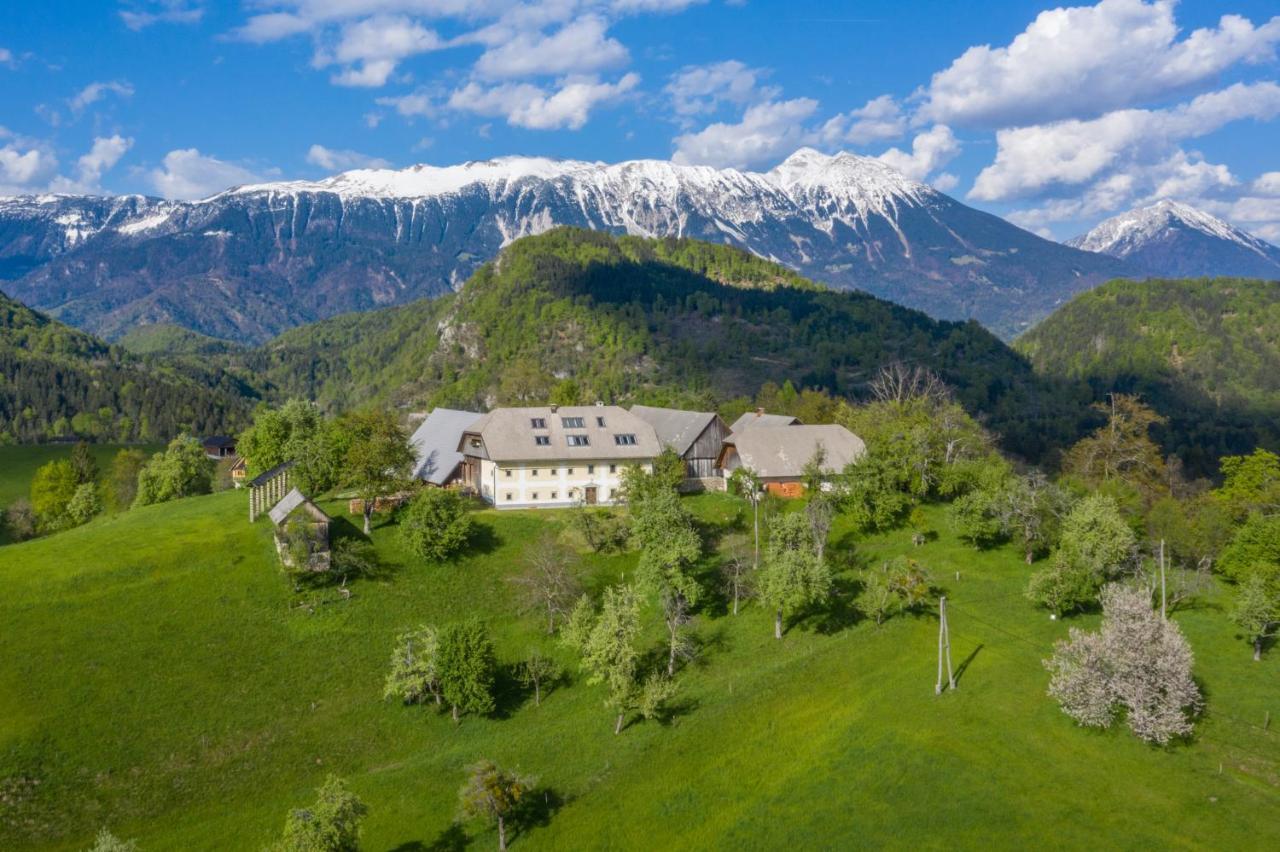 Apartment Krnicar Zgornje Gorje Eksteriør bilde